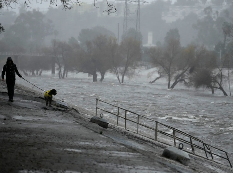 A man walking his dog on the edge of the Los Angeles River in the city on Sunday.Credit...Damian Dovarganes/Associated Press